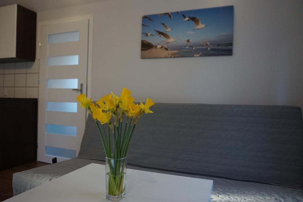 Apartamenty I Domki Osinscy บราเนียโว ภายนอก รูปภาพ